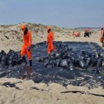 Alcaldesa de Veracruz recorre zona afectada tras explosión en Rincón de Palma Real