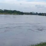 ¿La mejor afición de México? Veracruz vuelve a hacer ruido